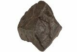 Chondrite Meteorite ( g) - Western Sahara Desert #222360-1